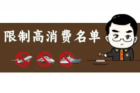 希望这次全国人大会能解除债务人限制乘坐高铁和飞机经济舱问题图片