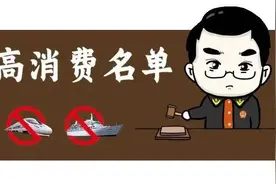 希望这次全国人大会能解除债务人限制乘坐高铁和飞机经济舱问题图片