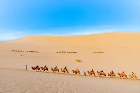 敦煌景区回应暂停骑骆驼图片