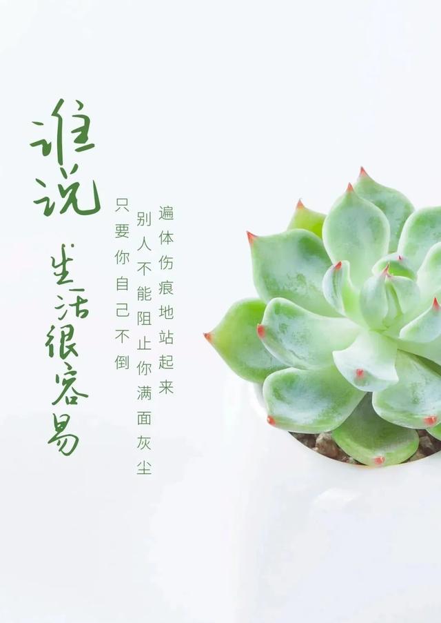 「2022.05.10」早安心语,正能量最美语录分享 早上好励志暖心短句