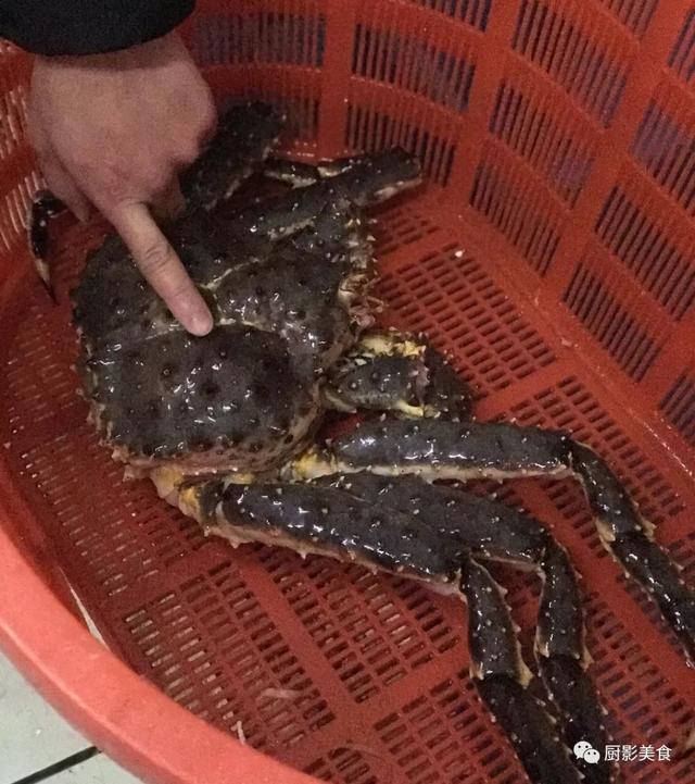 40头的花胶是几级 2025年花胶40头是什么意思?