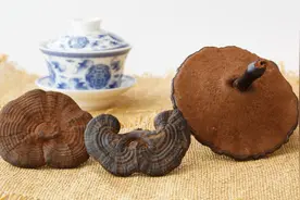癌症患者能吃灵芝孢子粉吗？被捧上天的2种保健品，其实不抗癌图片