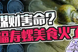 一口福寿螺，六千条寄生虫！让人变痴呆的毒物竟成网红图片