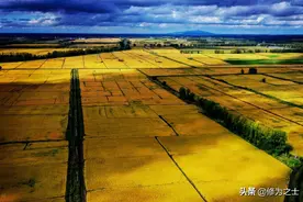 新疆连队土地经营权是咋流转的，外面人是否也可获得流转的土地？图片