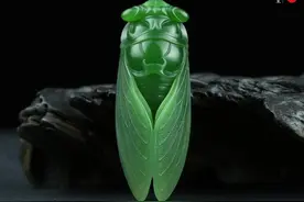 邀蝉入玉 | 不鸣则已，一鸣惊人图片