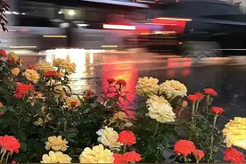 从浙江到湖南，产业链转移恐怕没你想的那么简单图片