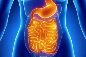 没胃口吃不下饭怎么办？医生建议：这3点要做到图片