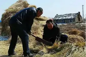 生产队那点事儿——吃牛肉图片