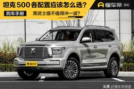 导购｜坦克500各配置应该怎么选？黑武士值不值得冲一波？图片