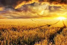 新年同事祝福语走心图片