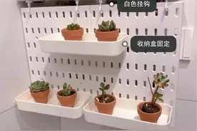 朋友第一次来我家惊呆了！佩服道：原来你花的钱都是这么值得的图片