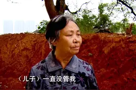 儿媳因吃了一只鸡，却被婆婆逼得喝药自尽，最终结局如何图片