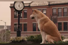 《忠犬八公》与主人的情谊，为爱等了十年，对于狗狗来说已尽一生图片