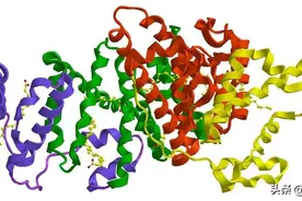 把人血白蛋白当“补品” ，滥用带来更大风险！图片