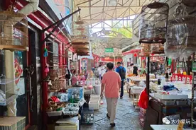 这些花鸟鱼虫市场圈粉几代人，还能一边撸动物，一边听科普图片