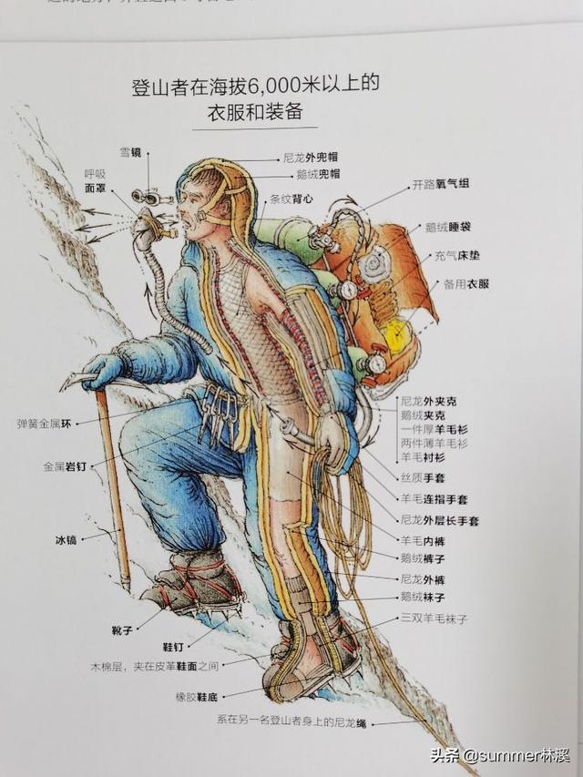 “世界剖图大师”手绘人类探险史，再现14段改变世界的传奇旅程