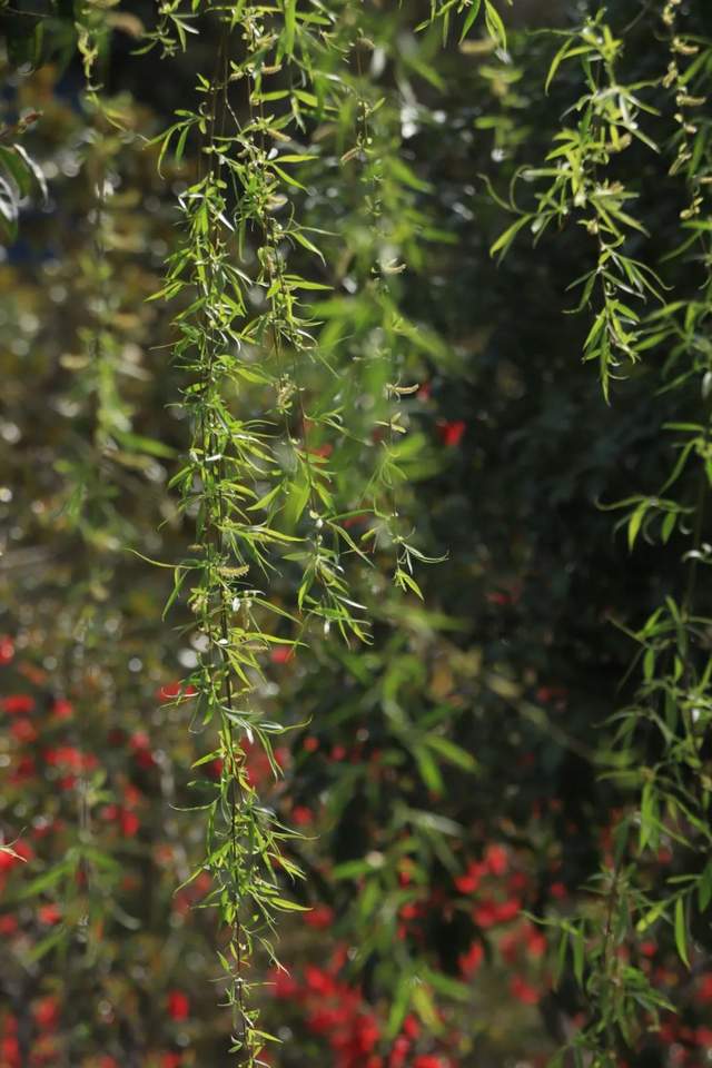 四川省民生研究会新媒体中心-官网