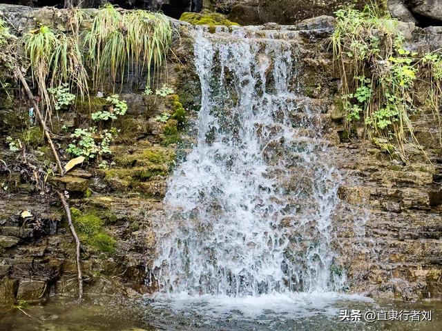 绵绵秋雨过后，杨树岭的路湿滑难行，唯峰顶的美景一如往常