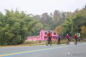 旌阳最美乡村路！元旦小长假，快快去打卡！图片