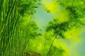 不急躁、不生气、不抱怨，看得透、想得开、放得下图片