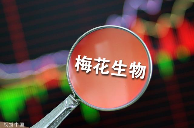 梅花生物产品量价齐升净利增139% 产能释放成全球最大氨基酸生产企业