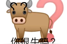 娱乐圈骂人最毒的嘴，服软道歉了图片