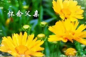 四言诗·祭父图片