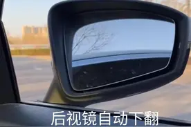 老司机告诉你，汽车挂倒挡，后视镜自动下翻功能怎么设置？图片