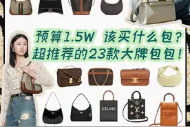 预算1w5|买大牌包，从这几款里选就对了图片