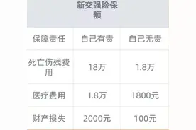 汽车保险应该怎么买，关键时刻才不会自掏腰包，小曾告诉你图片