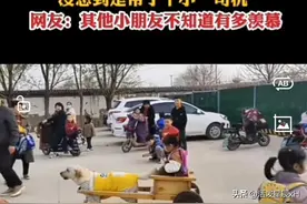 狗狗当司机接萌娃放学登上热搜，我却笑死在评论区！图片