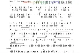 《大鱼》简谱-PDF格式图片