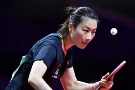 进入国际乒联名人堂的中国全满贯选手图片