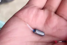 新手对于鱼线的几个错误认知，小细节不注意，跑鱼可别后悔图片