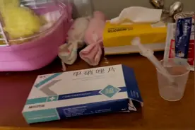 #萌宠蜜袋鼯图片