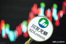 矿化一体化格局已形成，川发龙蟒：布局新能源材料开启第二增长极图片