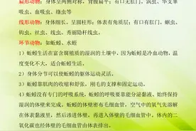 八年级生物上册，章节知识点解读+课后巩固训练，暑假预习必备图片