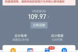 支付宝花呗这种情况是不是不用还款了？图片