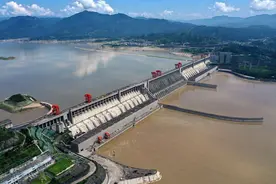 三峡大坝发现100斤重的鱤鱼，常被视为淡水的害鱼，是否人工投放图片