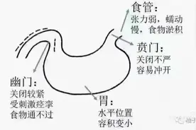 婴儿贲门什么时候长好图片