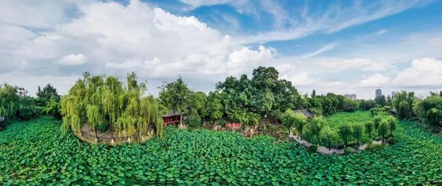 拍点发现 | 今年夏天,去这些地方拍荷花