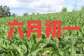 天气预报：收不收秋？就看六月初一！初一下雨有啥说法？农谚咋说图片