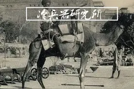 中亚游牧民族的发明，要了隆科多大伯的小命，骆驼炮有多神奇？图片