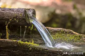 迷信的背后竟然是科学？无所不在的安慰剂效应图片