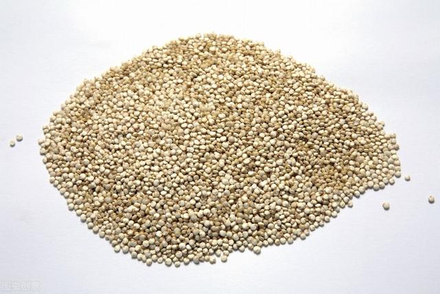 “蛋白质”“氨基酸”人体最重要的营养素之一