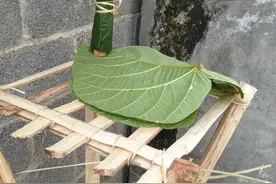 景颇族鬼神文化图片