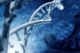 世界生命科学格局中的中国丨建设世界科技强国：科技十年回顾与展望图片