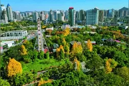 持续提升城市功能品质 满足群众美好生活需要！市两会代表委员聚焦高质量推进新型城镇化图片