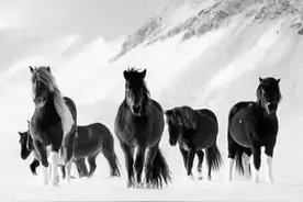 河南各地中考建档线图片