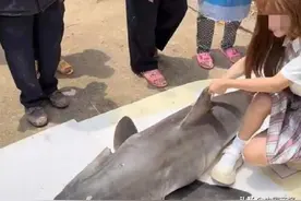 当事人回应疑用濒危噬人鲨做美食；深圳一公司拆除工位一对一摄像头……图片